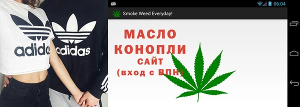 крисы Алзамай
