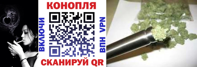 как найти закладки  Черкесск  Конопля планчик 